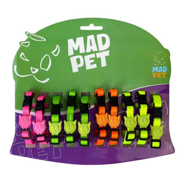 Display Coleira de Gato Neon, 10 Unidades em Cores Sortidas, Detalhe em Borracha