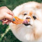 Chicken Jerky Peito de Frango 2 Unidades - Pet Treats