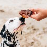 Nuggets Focinho de Porco 2 Unidades - Pet Treats